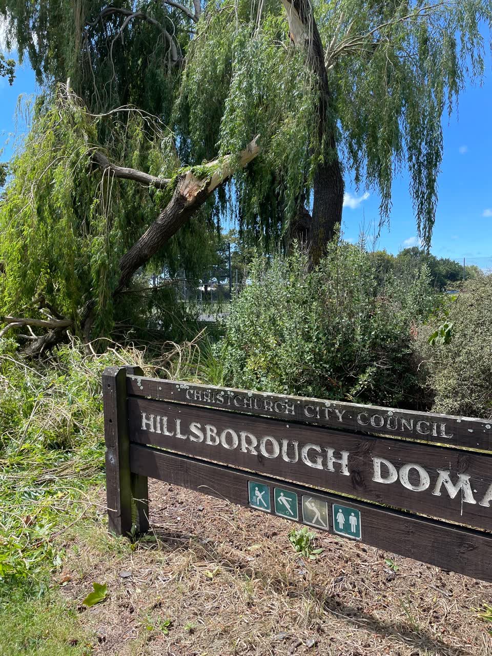 The photograph attached to this parks report