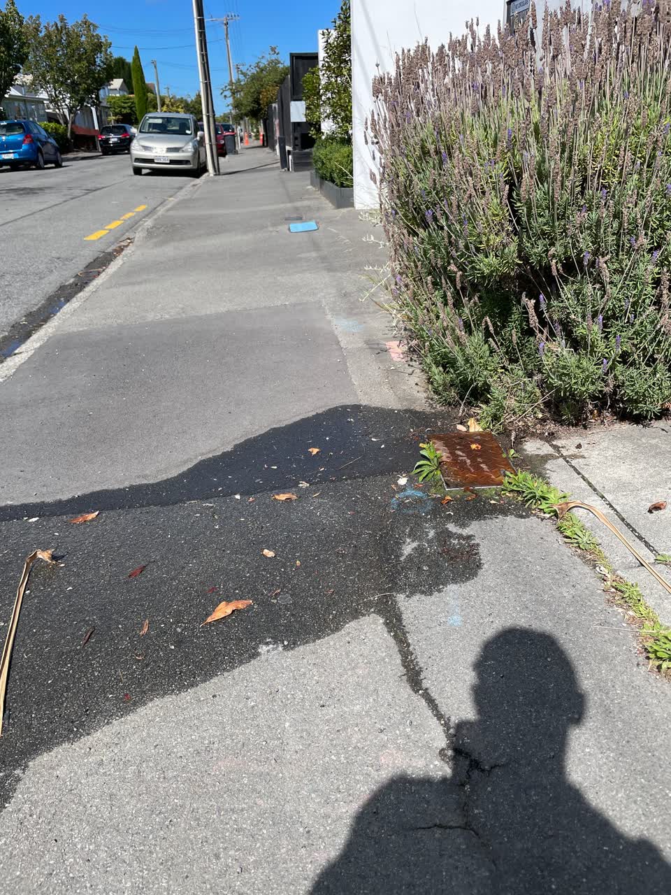 The photograph attached to this water supply report