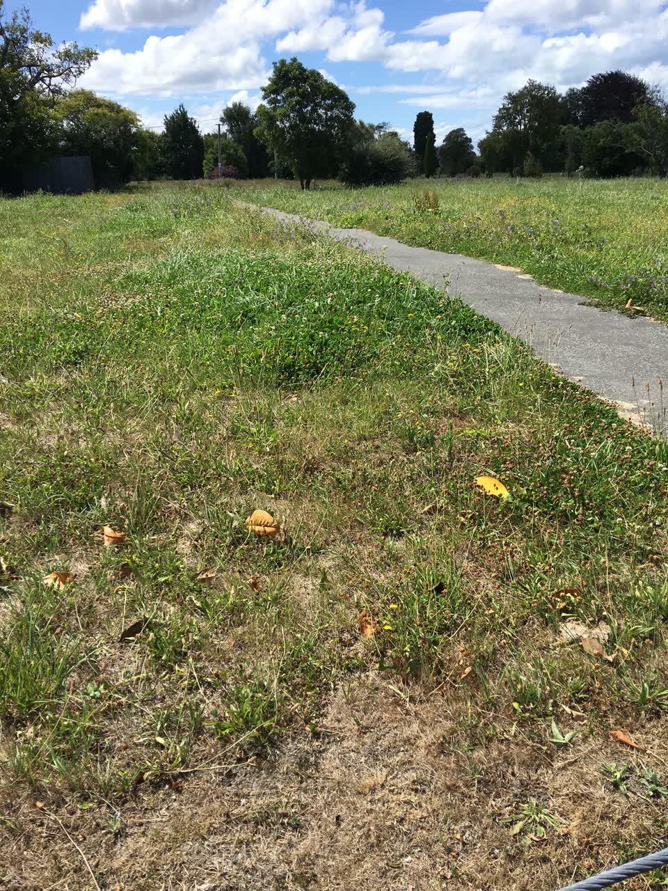 The photograph attached to this parks report