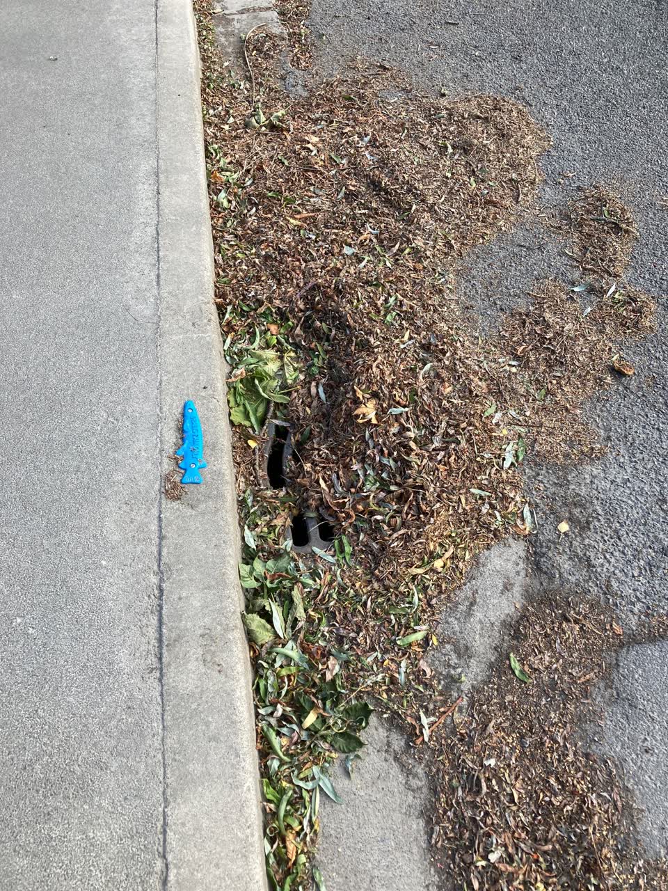 The photograph attached to this wastewater/stormwater report