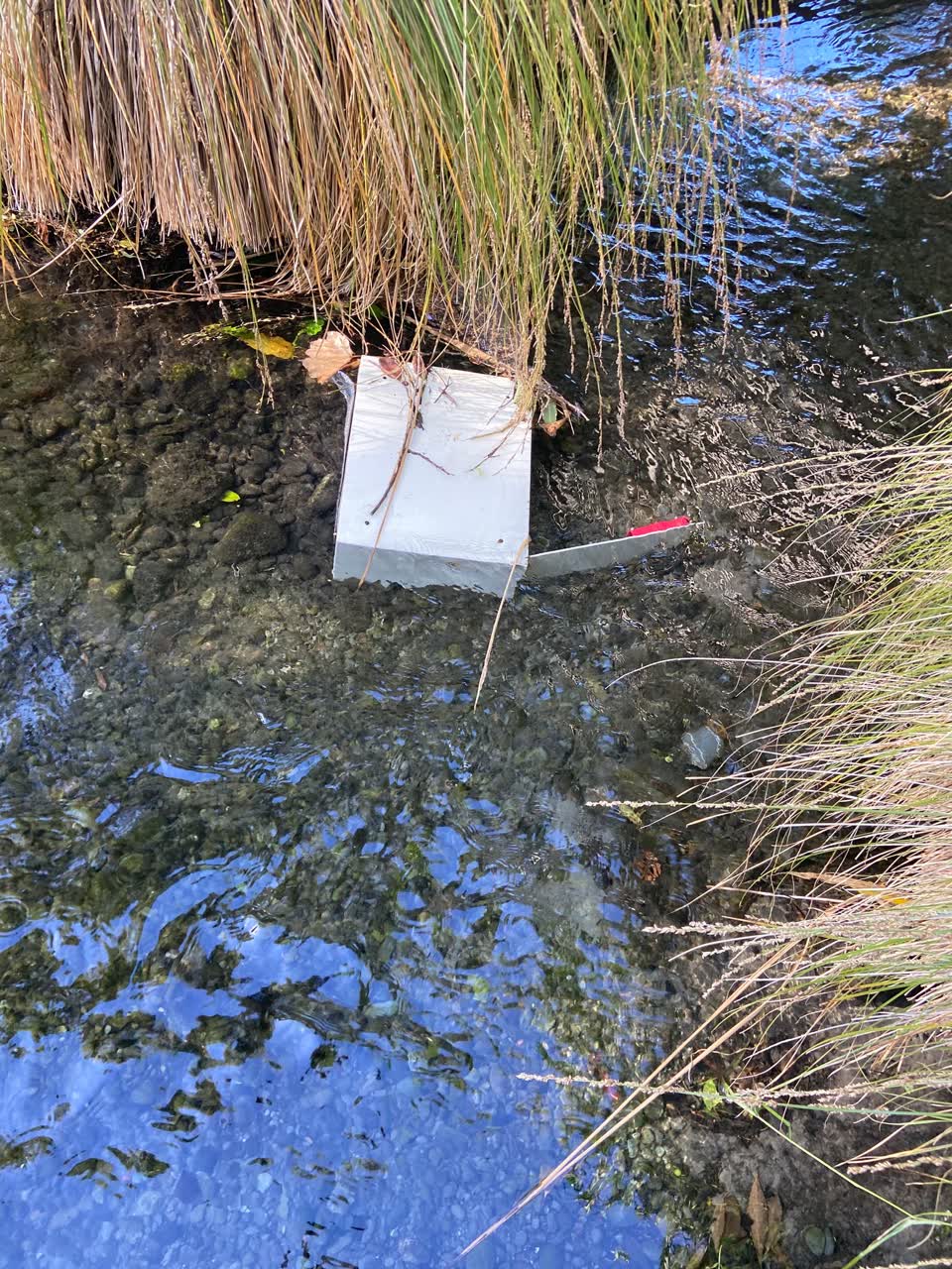 The photograph attached to this general request report