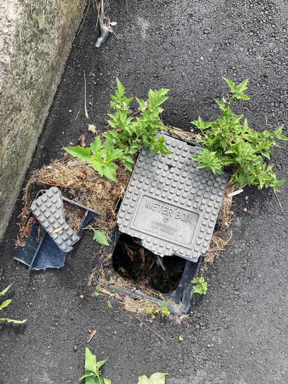 The photograph attached to this water supply report