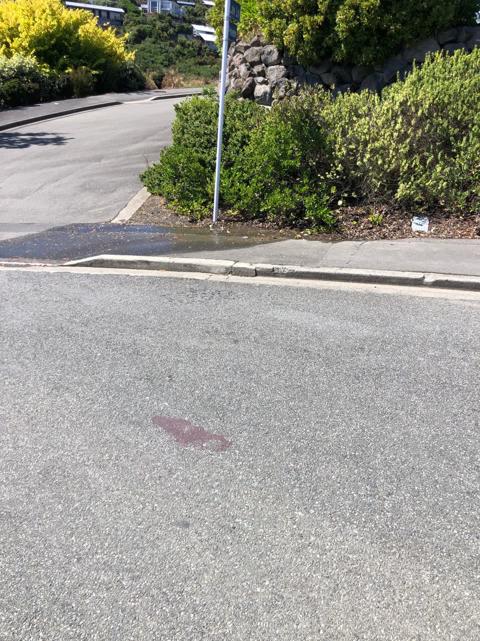 The photograph attached to this water leak report