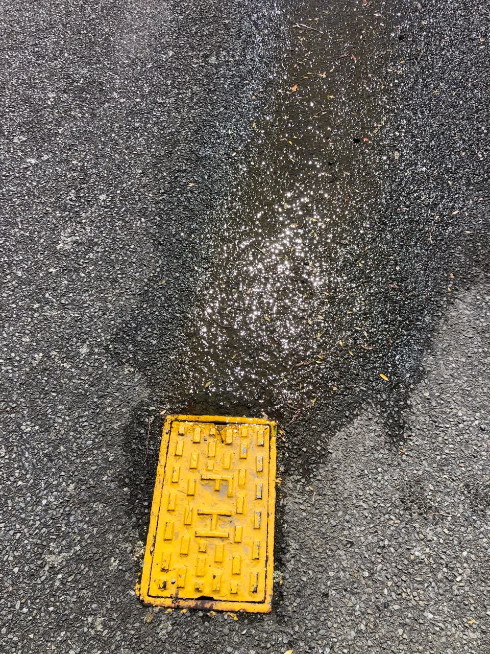 The photograph attached to this water leak report