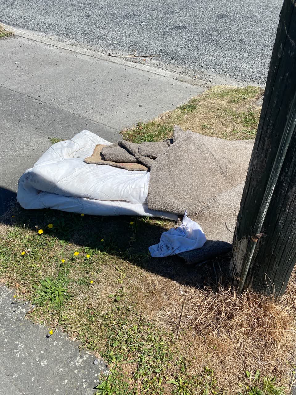 The photograph attached to this rubbish/recycling report