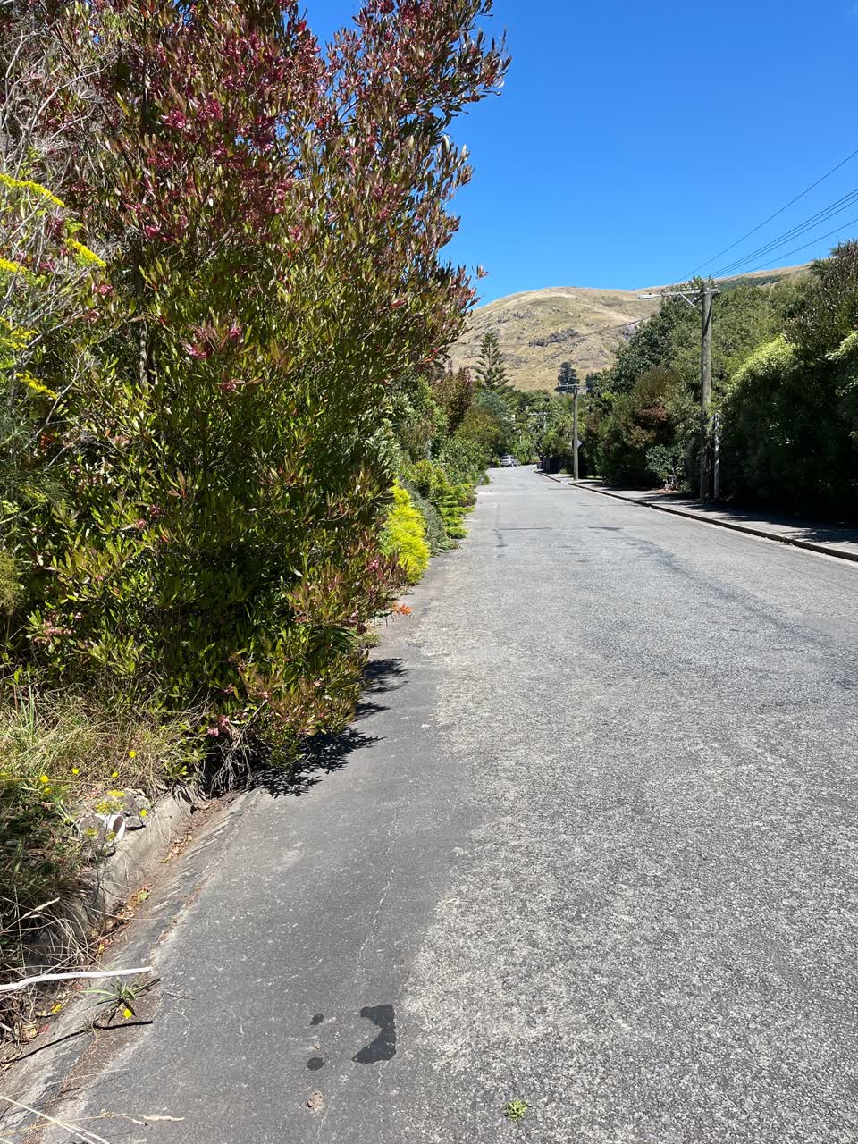 The photograph attached to this roading/streets report