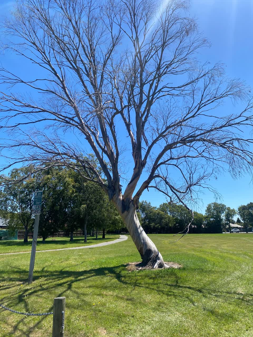 The photograph attached to this parks report