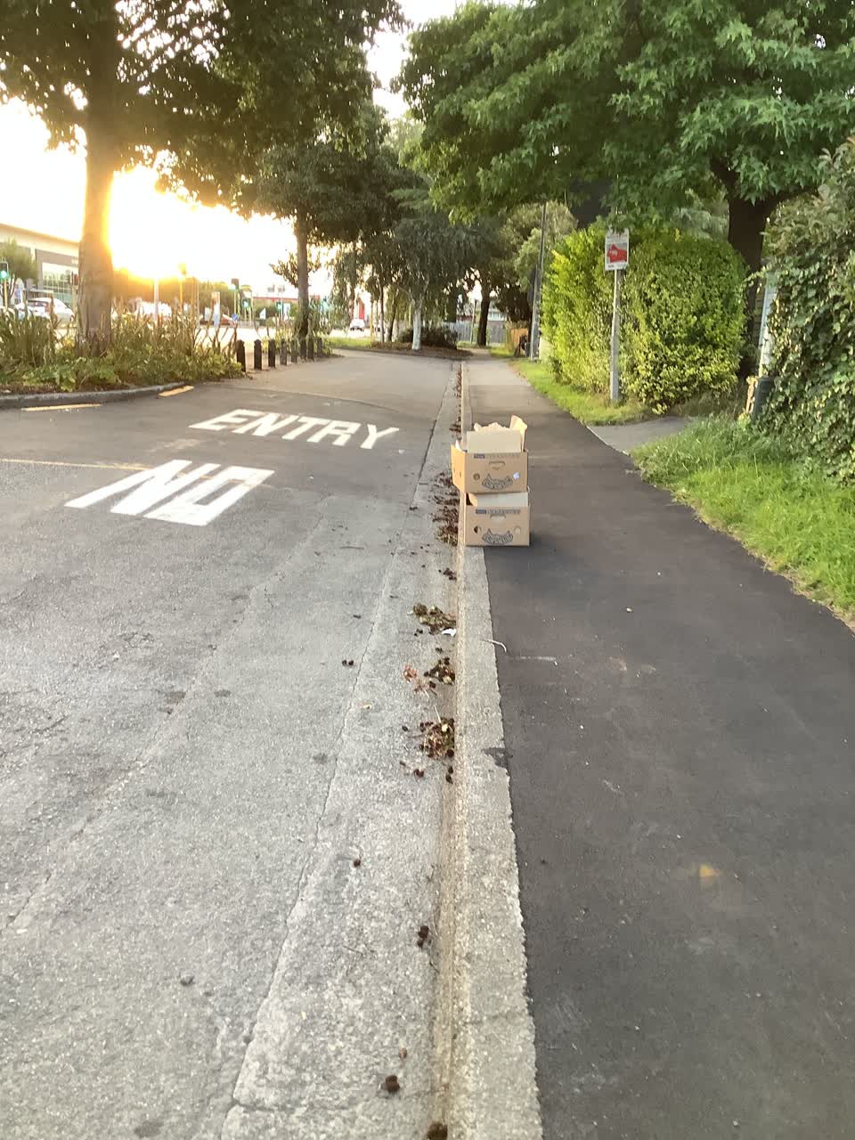The photograph attached to this rubbish/recycling report