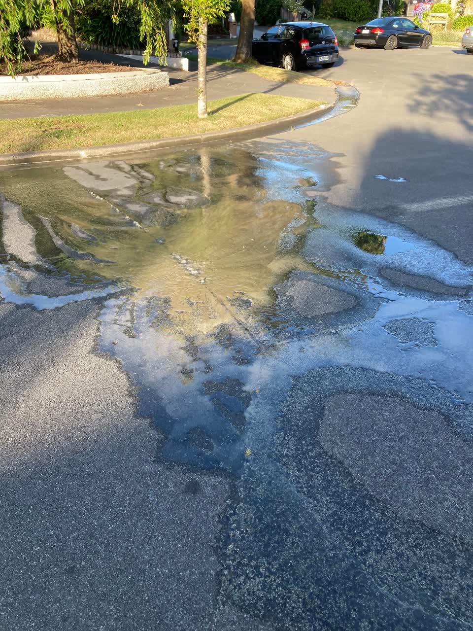 The photograph attached to this water leak report
