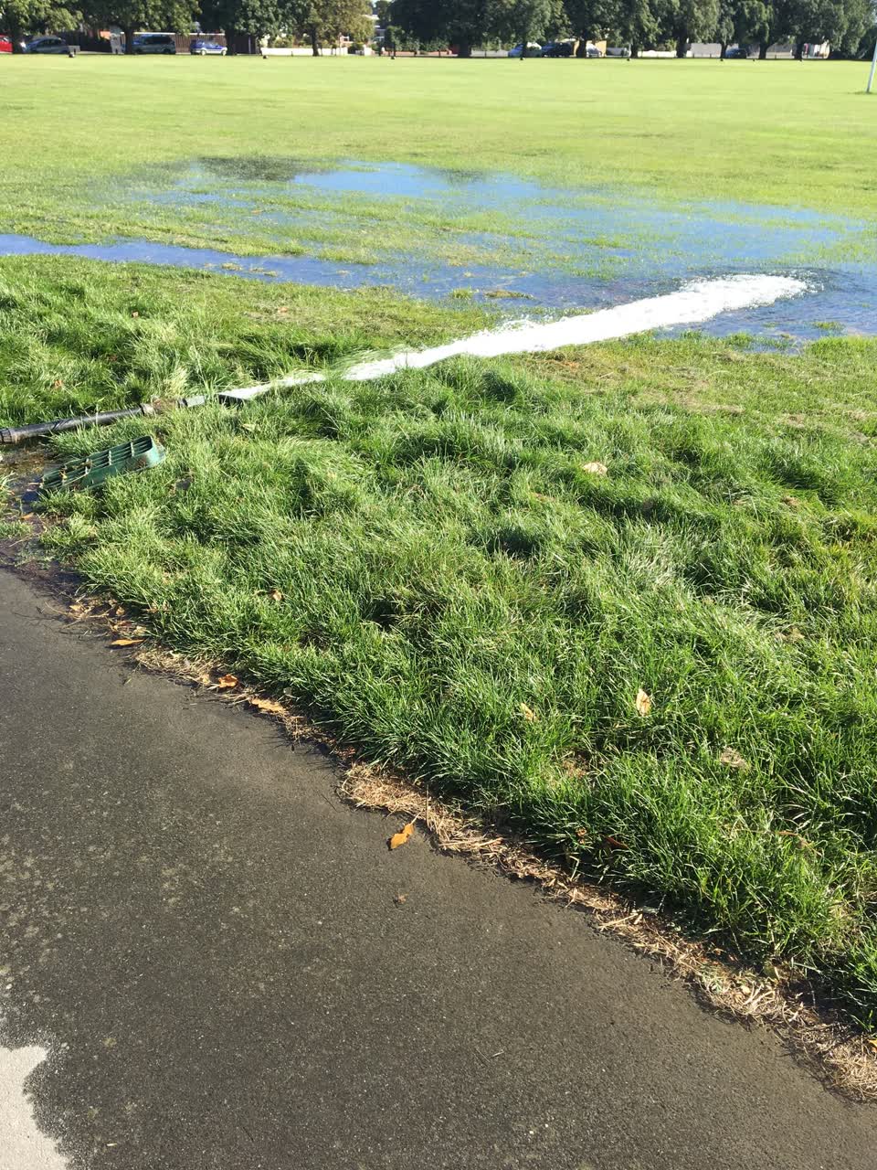 The photograph attached to this parks report