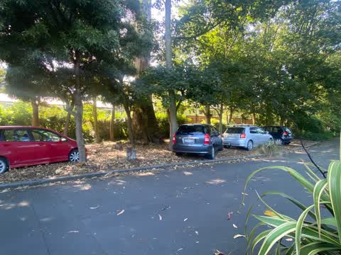 Roading/Streets, a report photo