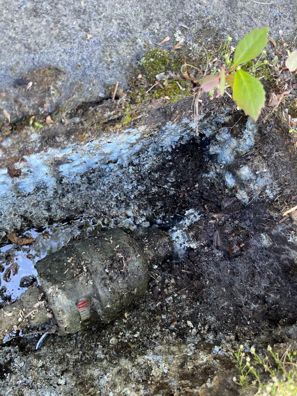 The photograph attached to this water leak report