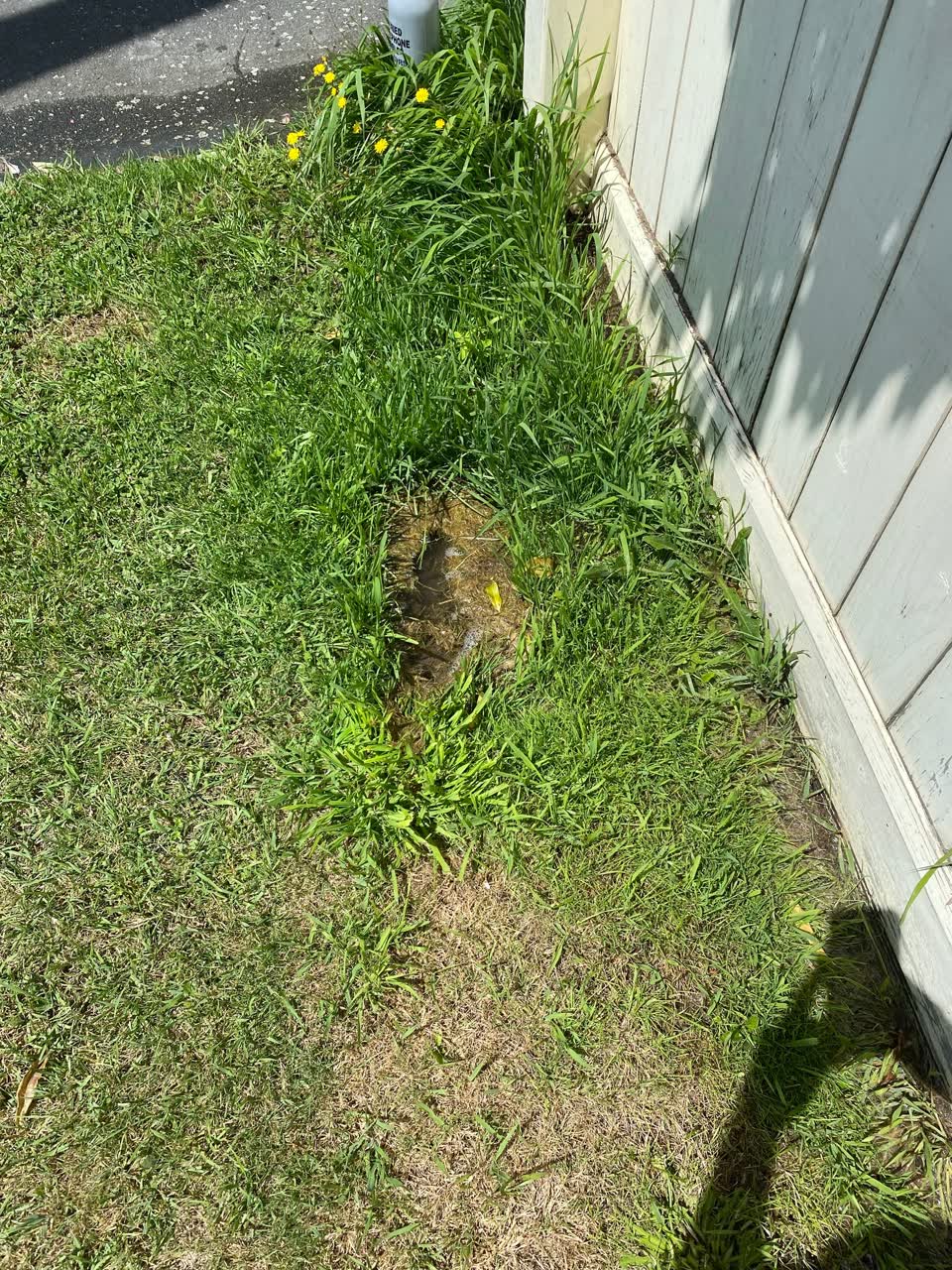 The photograph attached to this flooding report