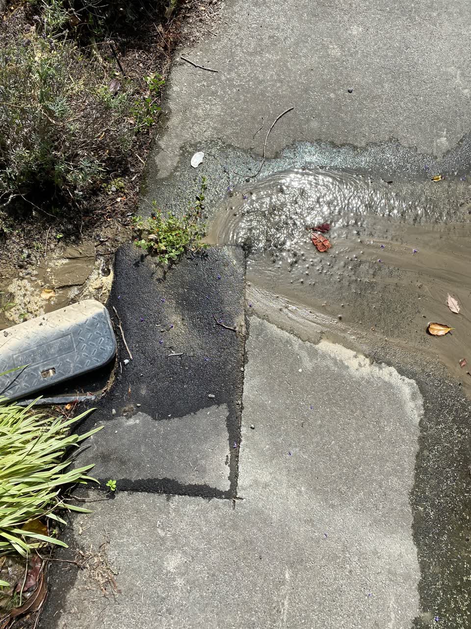 The photograph attached to this water leak report