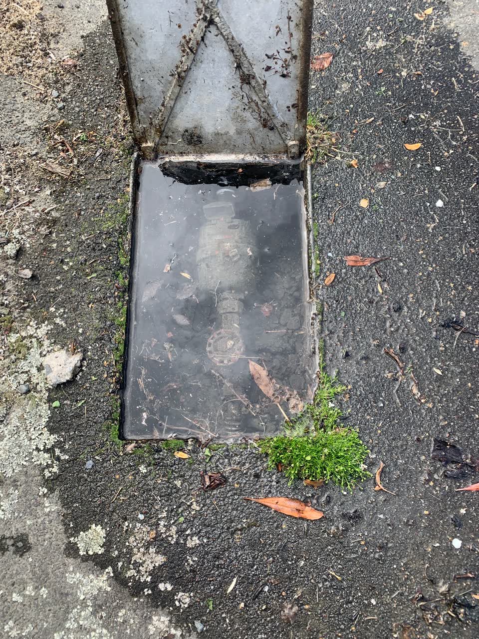 The photograph attached to this water leak report