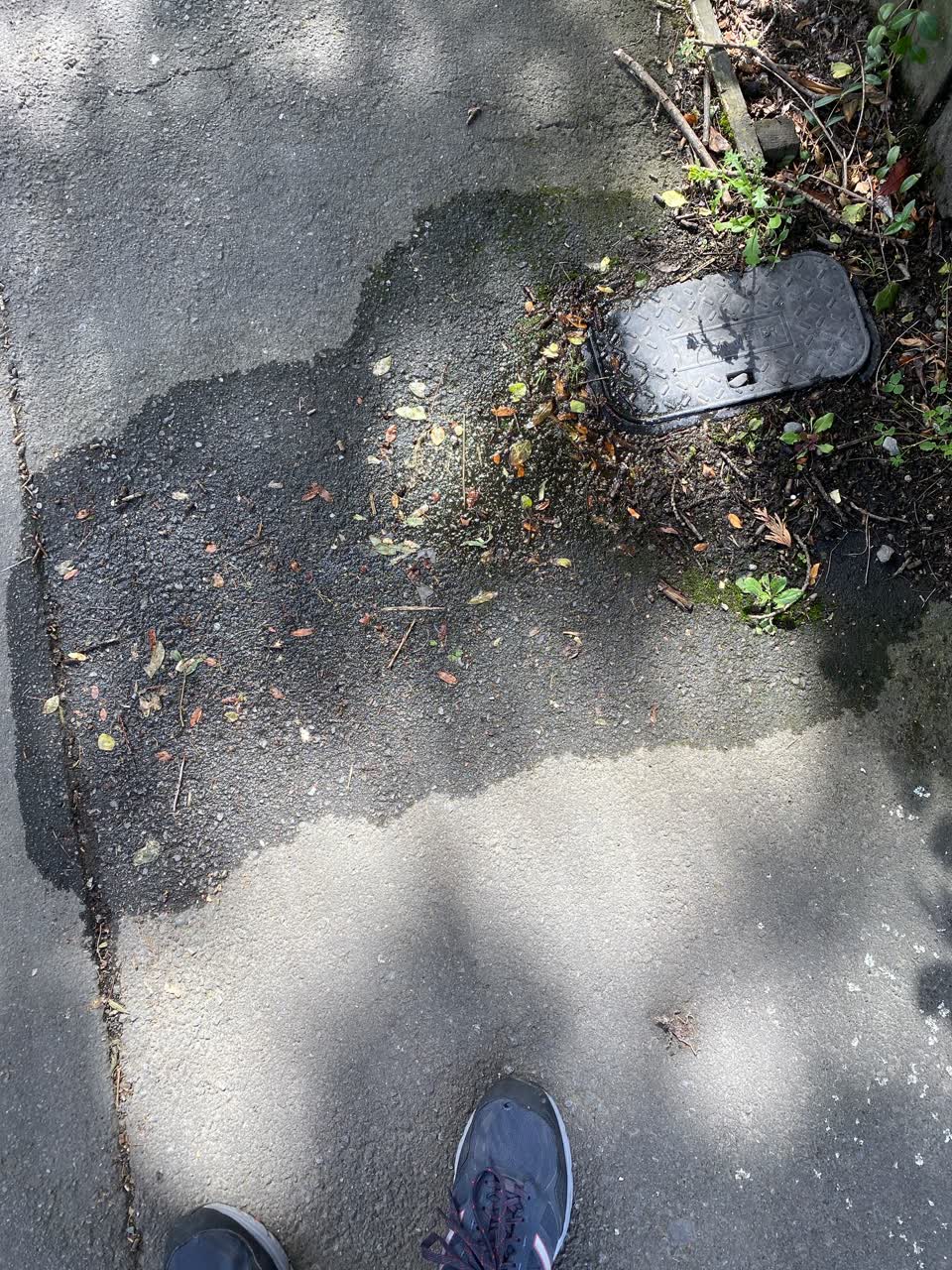 The photograph attached to this water leak report