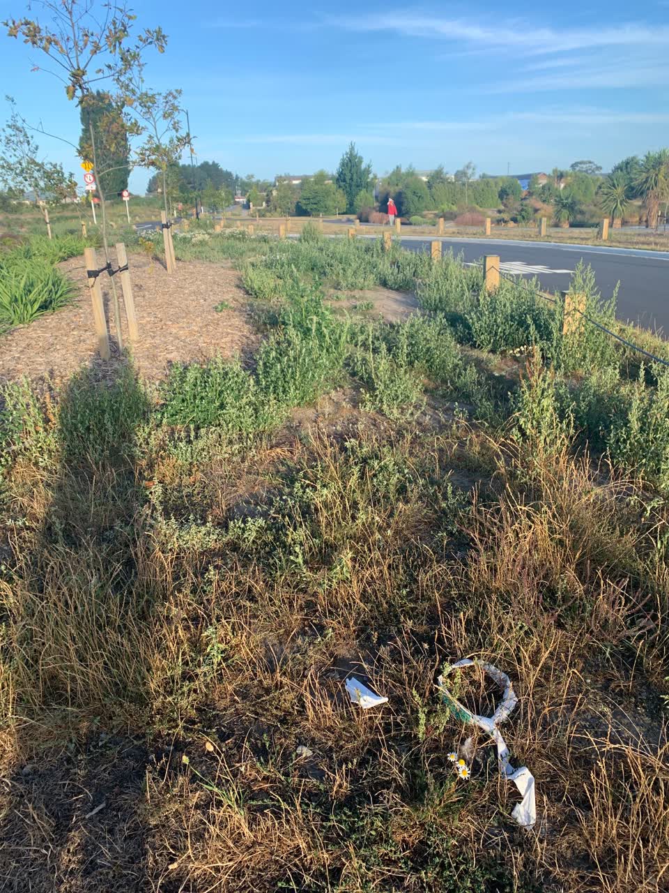The photograph attached to this parks report