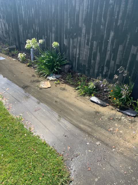 Water Leak, a report photo