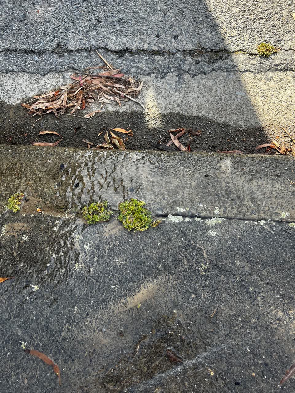The photograph attached to this water leak report