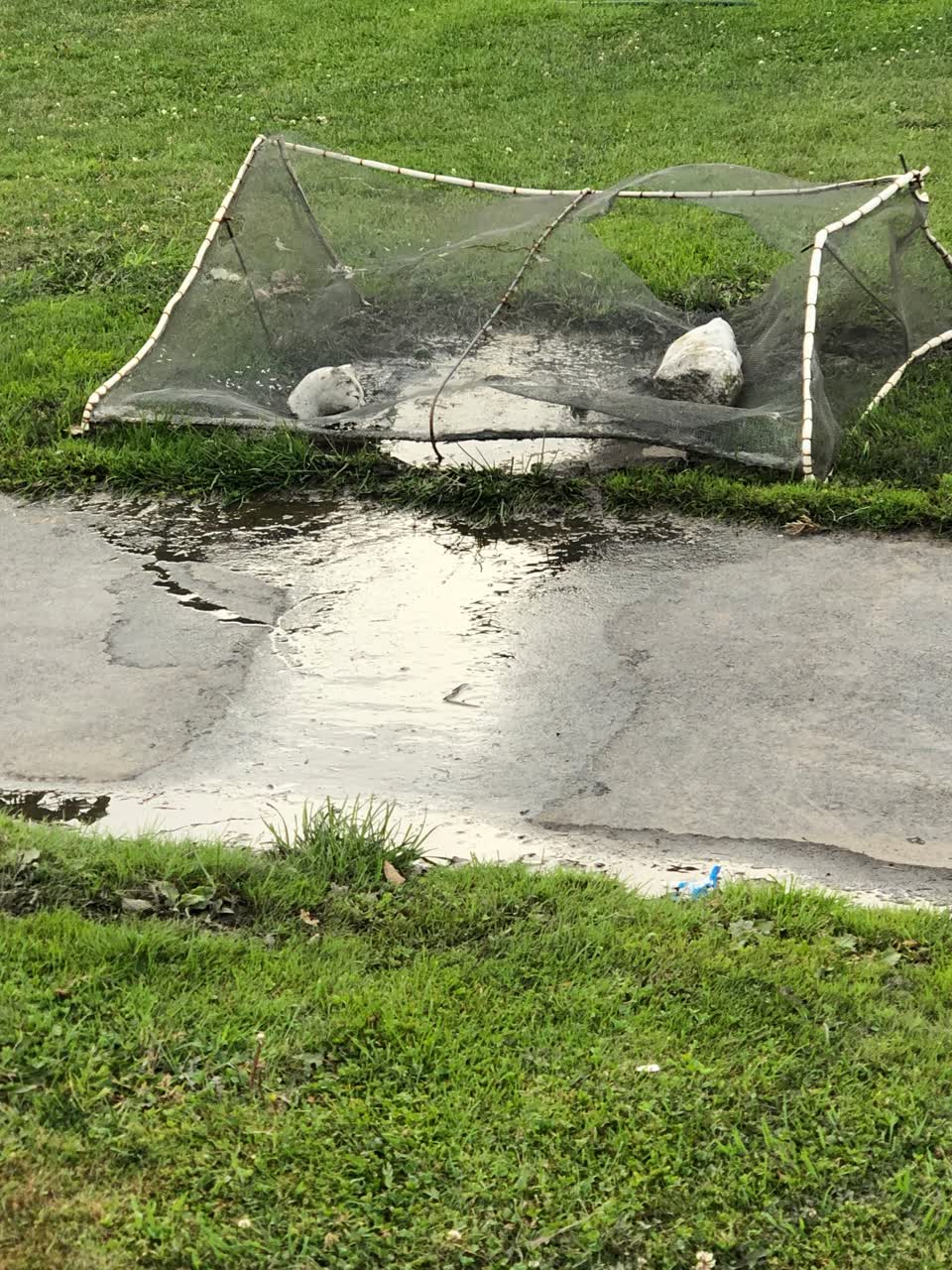 The photograph attached to this water supply report