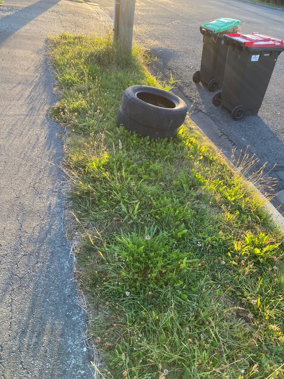The photograph attached to this rubbish/recycling report