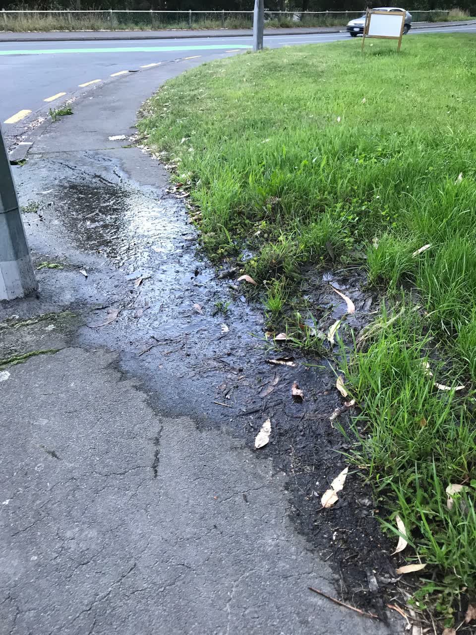 The photograph attached to this water leak report