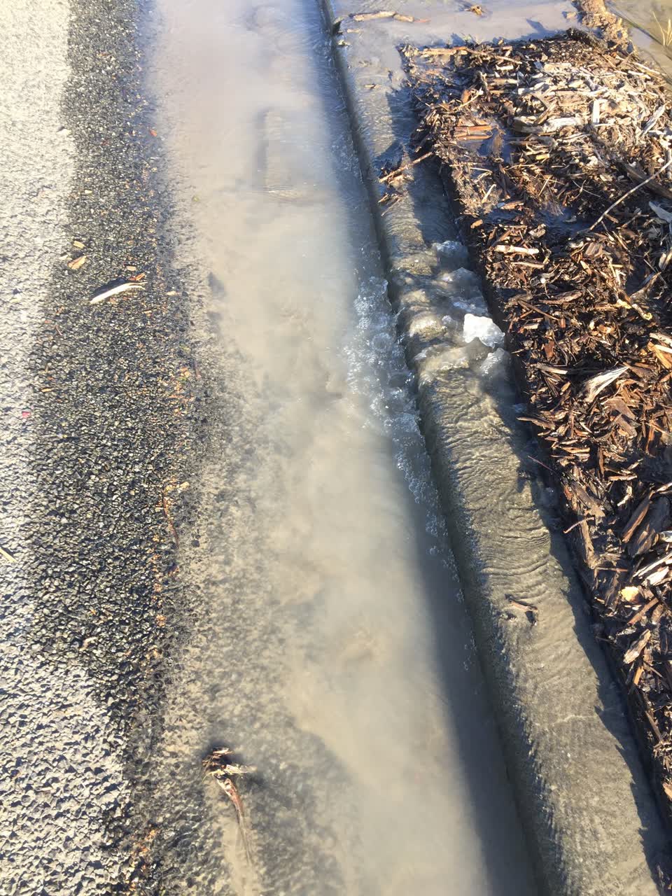 The photograph attached to this water leak report