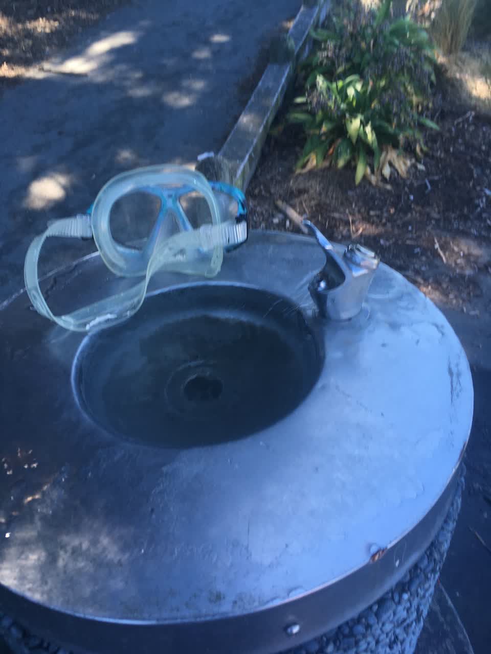 The photograph attached to this parks report
