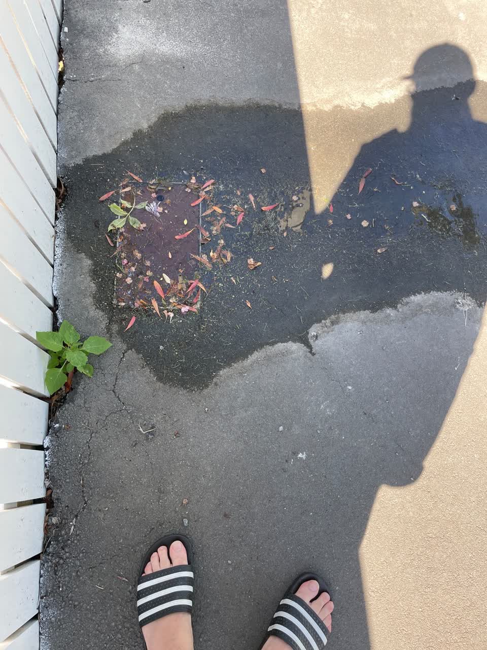 The photograph attached to this water leak report