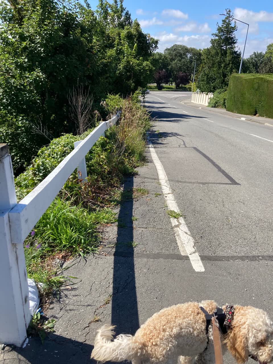 The photograph attached to this parks report