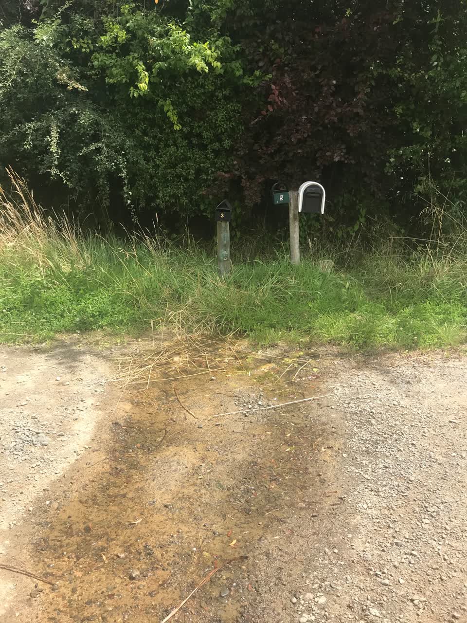 The photograph attached to this water leak report