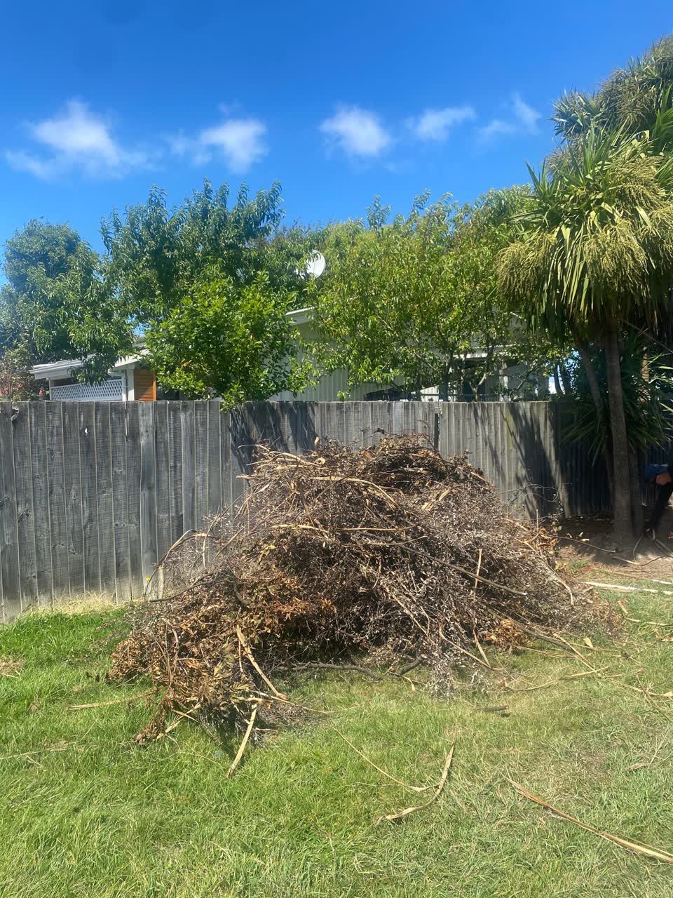 The photograph attached to this parks report