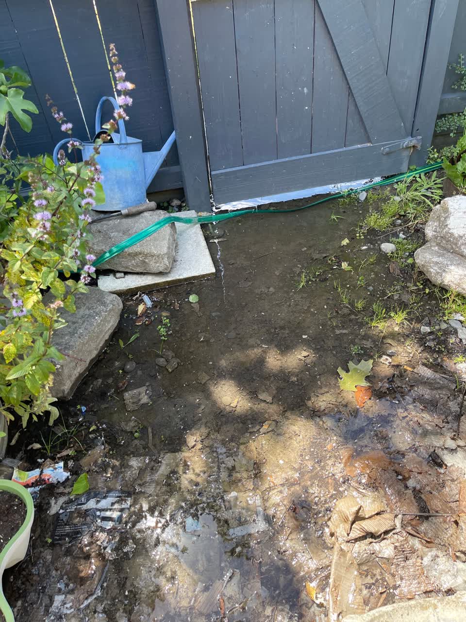The photograph attached to this water leak report