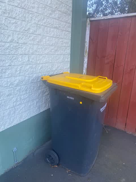 Rubbish/Recycling, a report photo