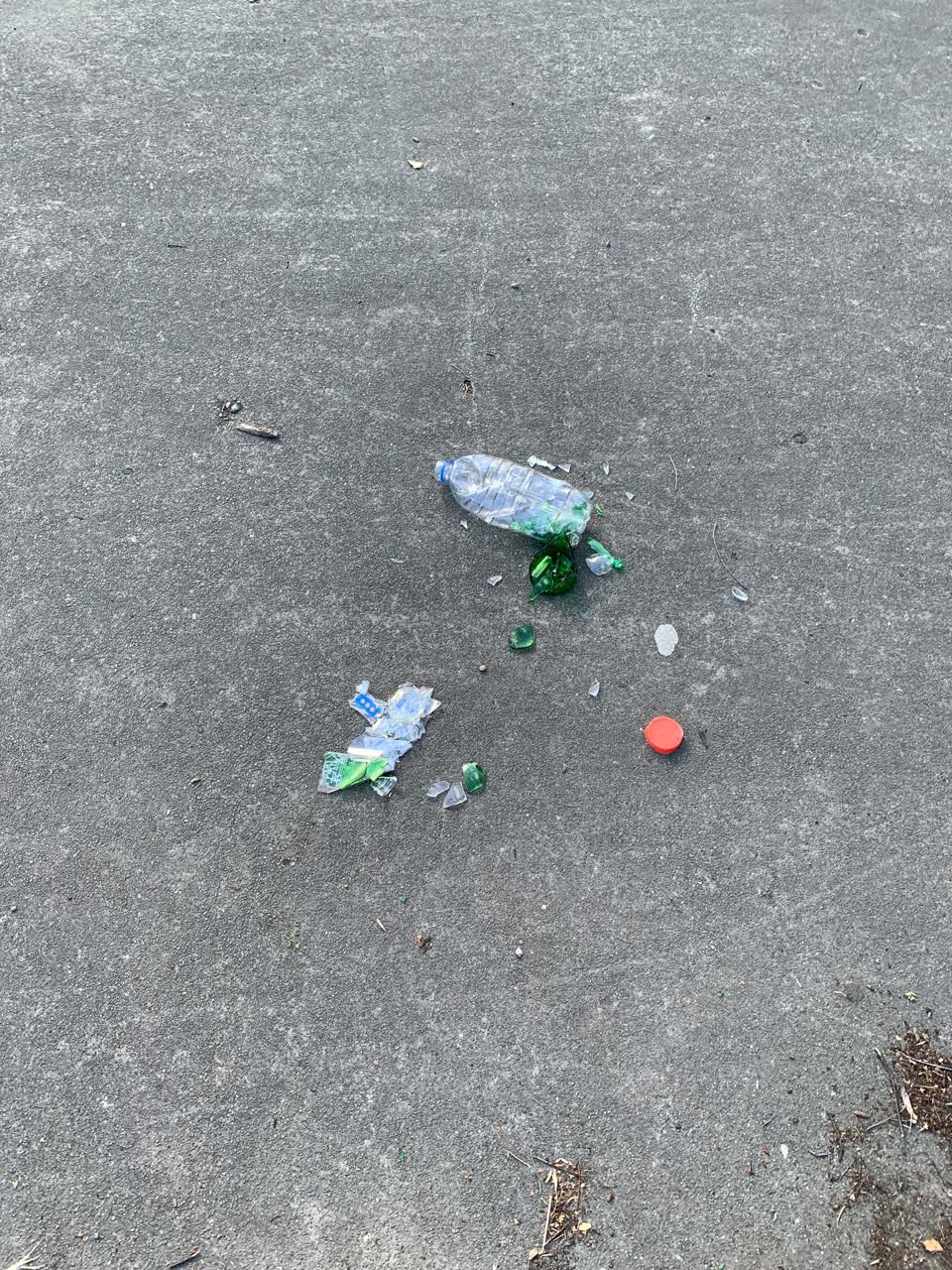 The photograph attached to this parks report