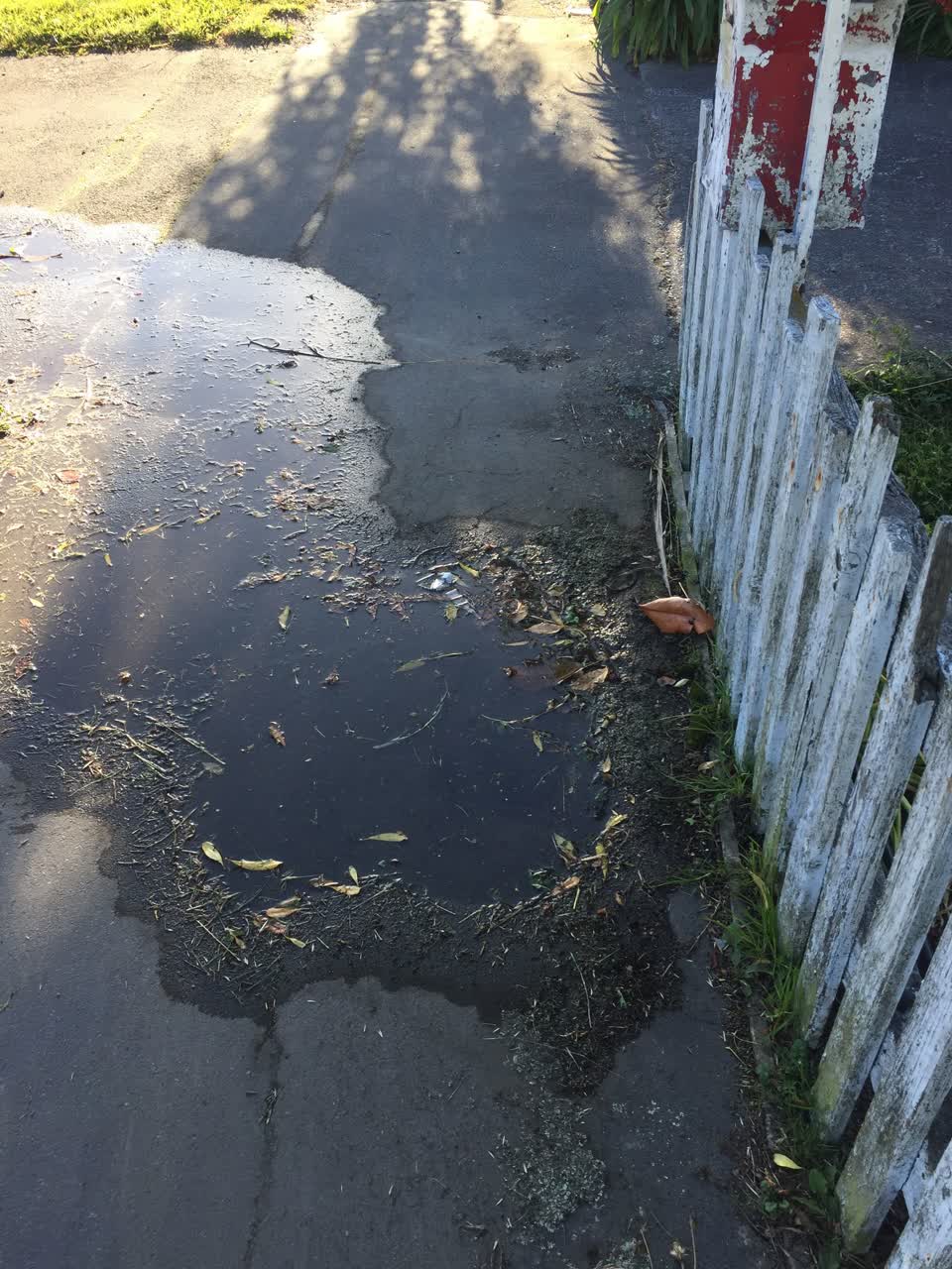 The photograph attached to this water leak report