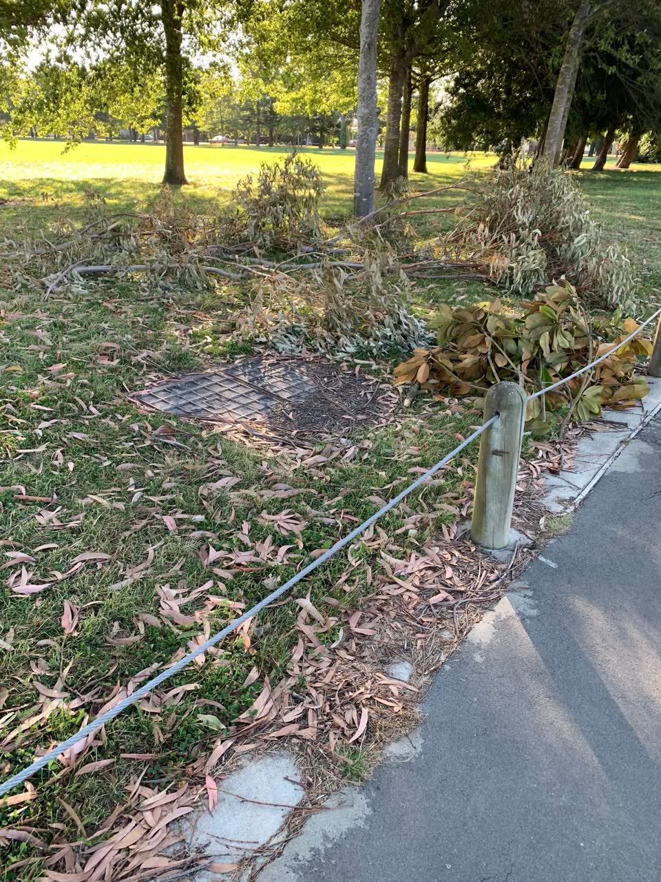 The photograph attached to this parks report