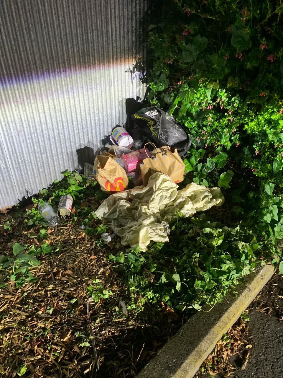 The photograph attached to this rubbish/recycling report