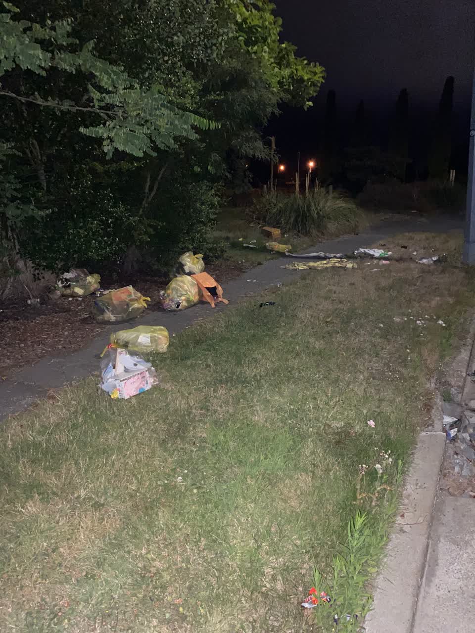 The photograph attached to this rubbish/recycling report
