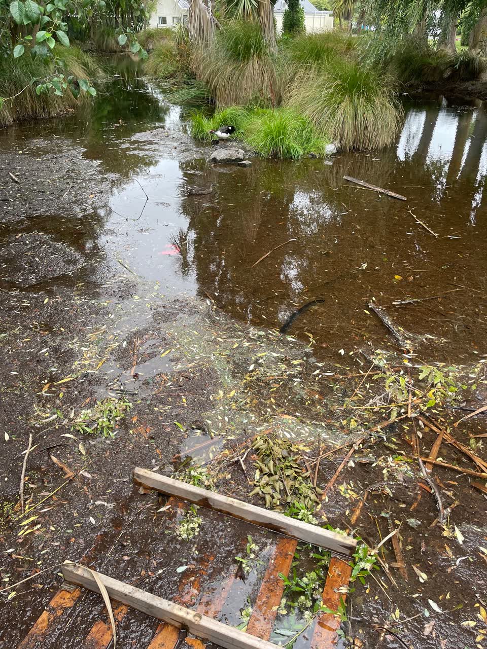 The photograph attached to this parks report