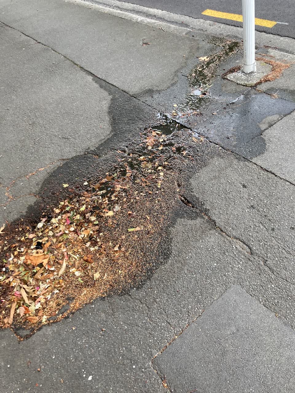 The photograph attached to this water leak report