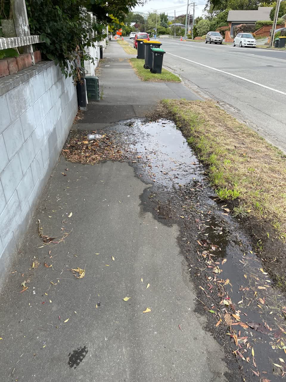 The photograph attached to this water leak report