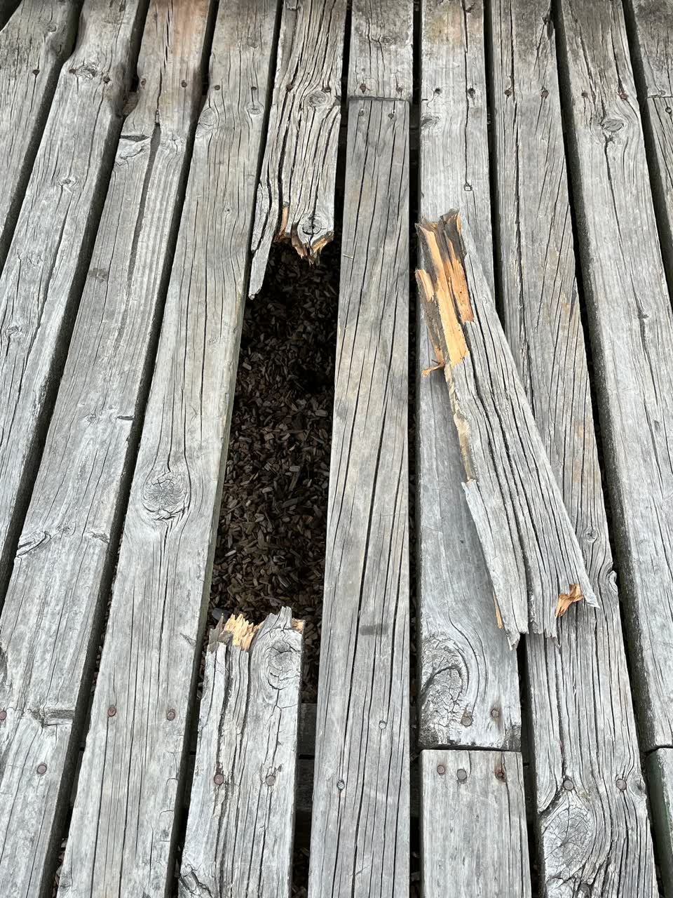 The photograph attached to this parks report