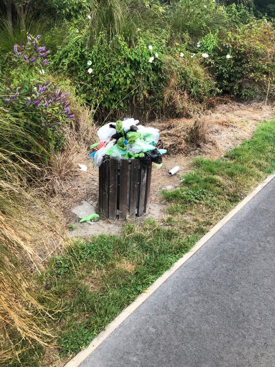 The photograph attached to this parks report