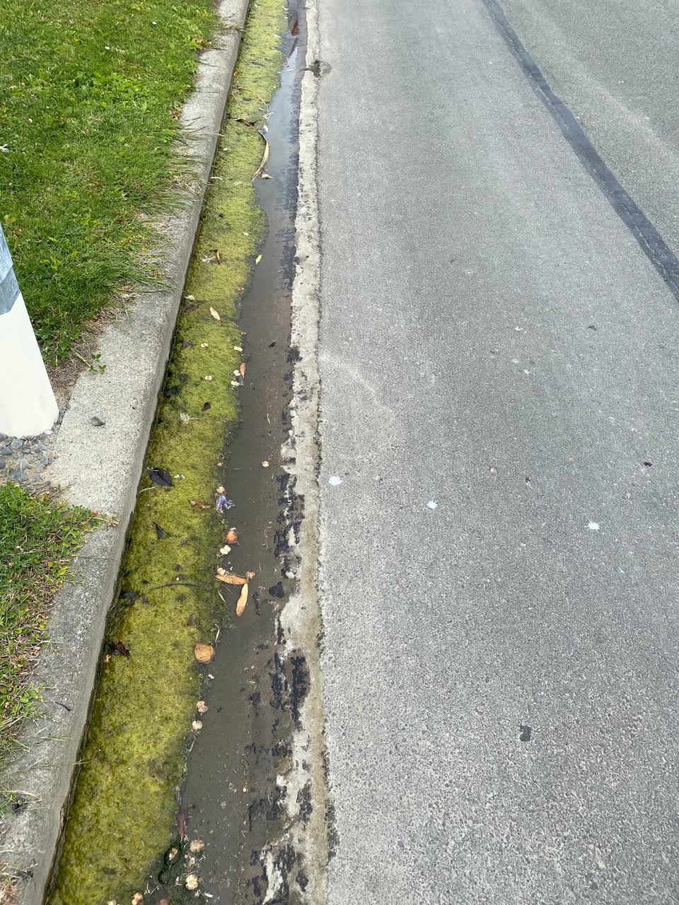 The photograph attached to this wastewater/stormwater report