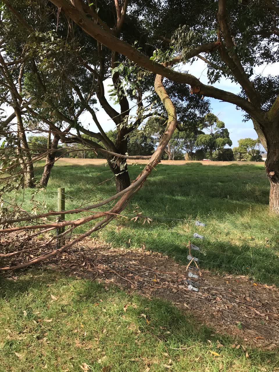 The photograph attached to this parks report