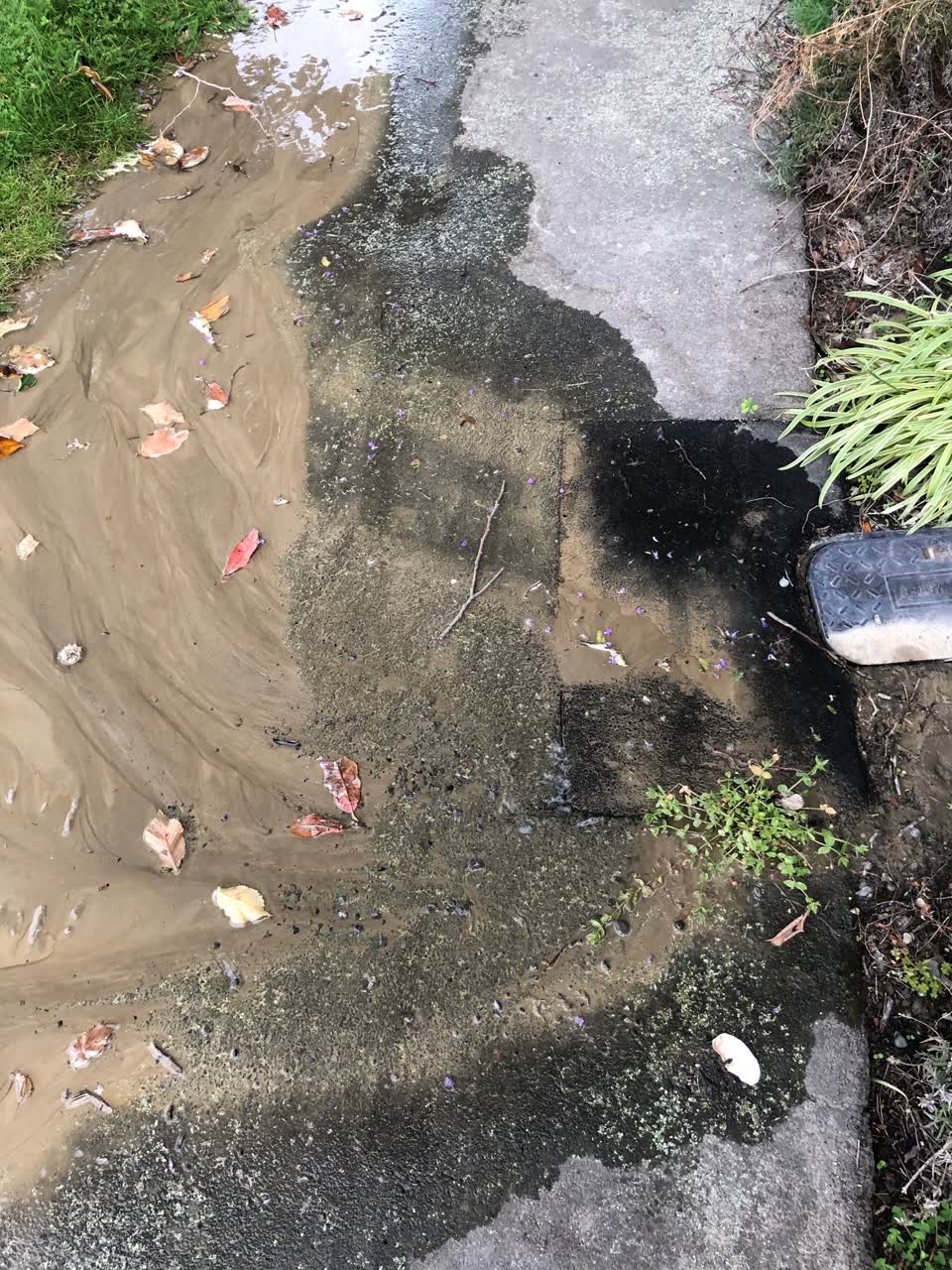 The photograph attached to this water leak report