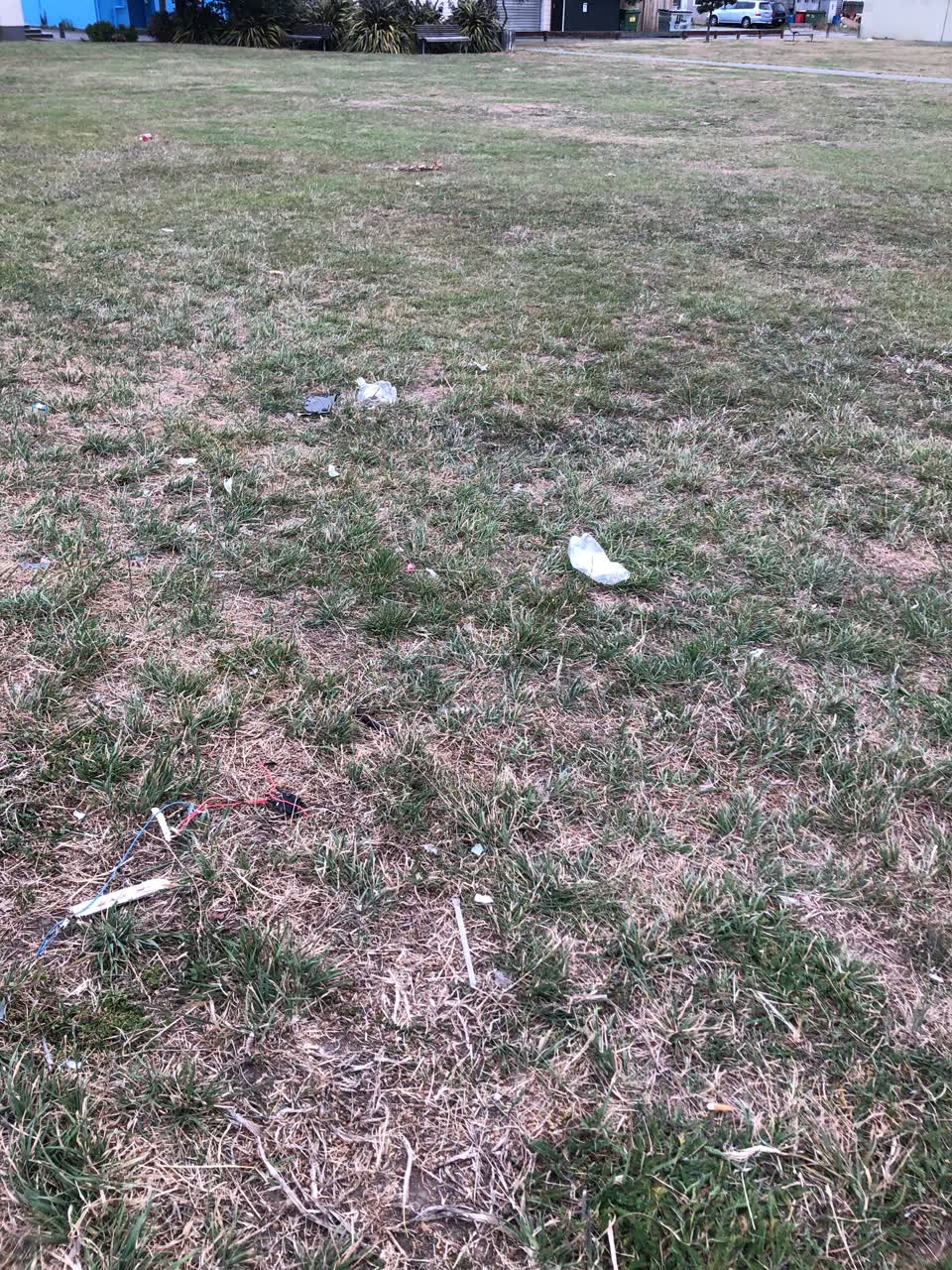 The photograph attached to this rubbish/recycling report