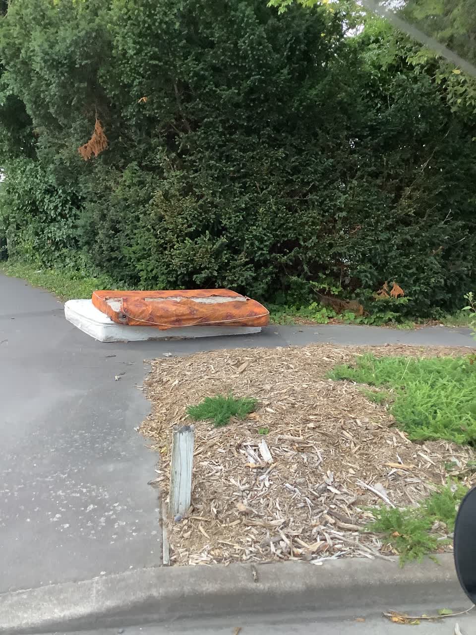The photograph attached to this rubbish/recycling report