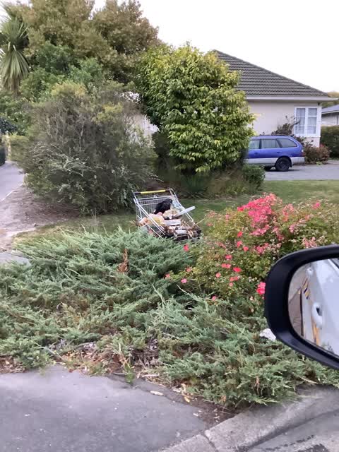 Rubbish/Recycling, a report photo